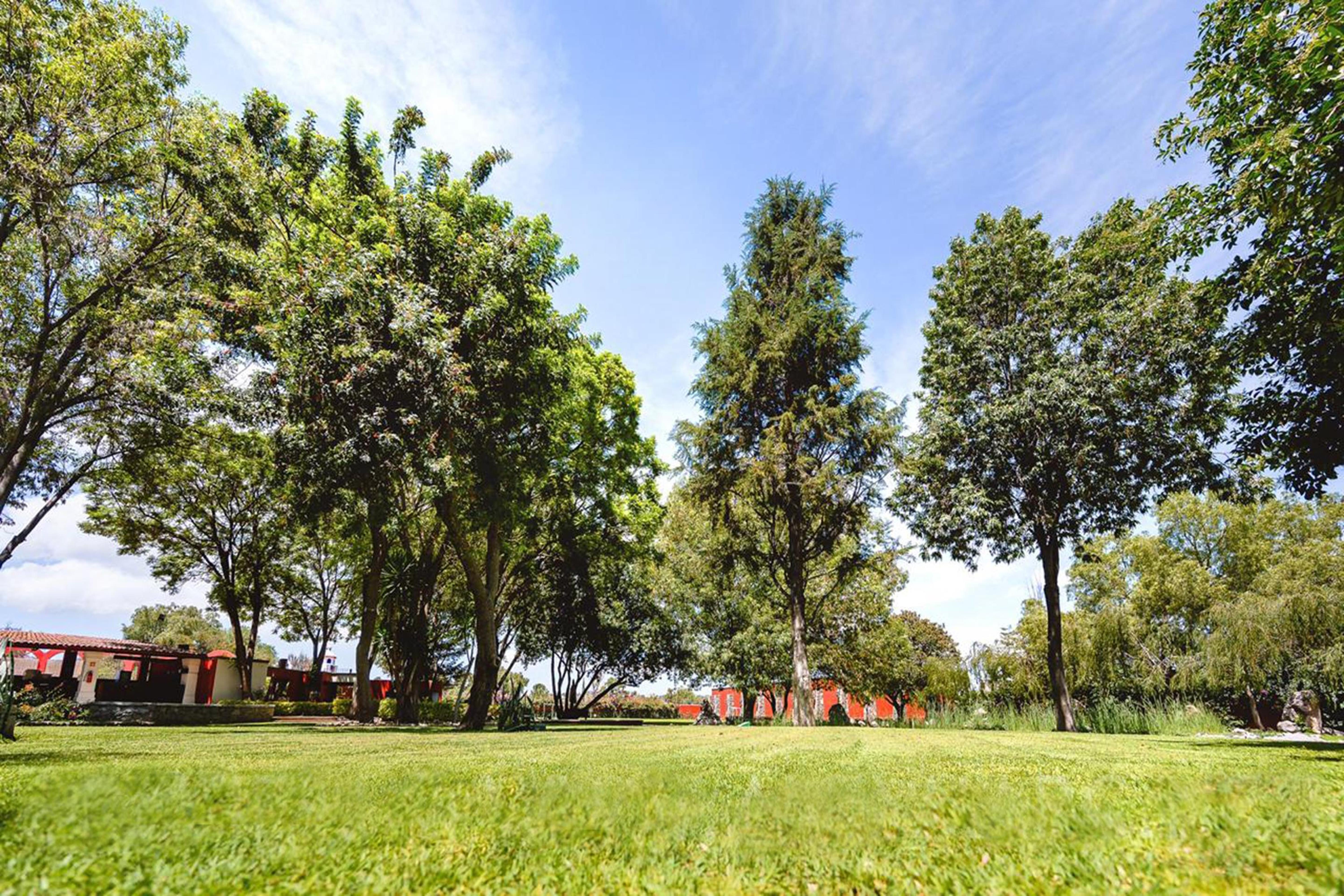 Real De Minas San Miguel De Allende Luaran gambar The park